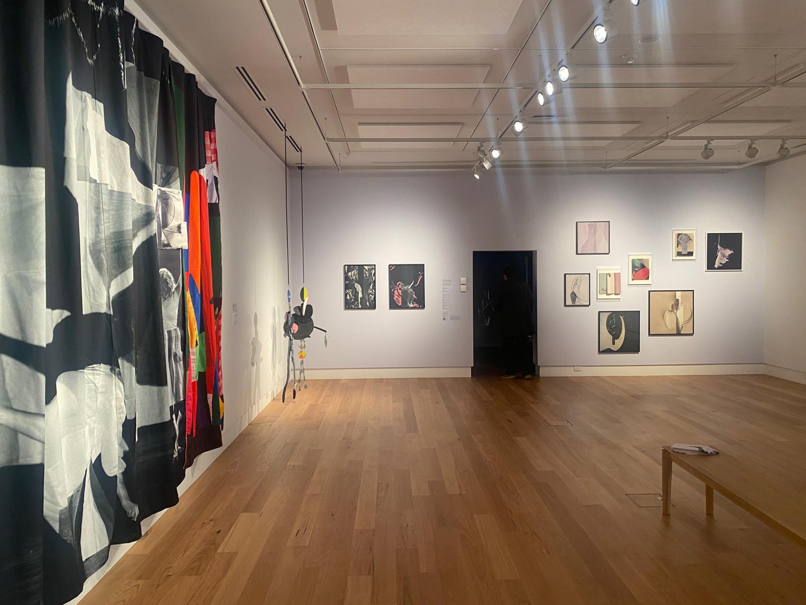 Work hung on a rail system installed by Studio9Art